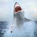 Harrison Kinney - @Harry24Kinney - Twitter