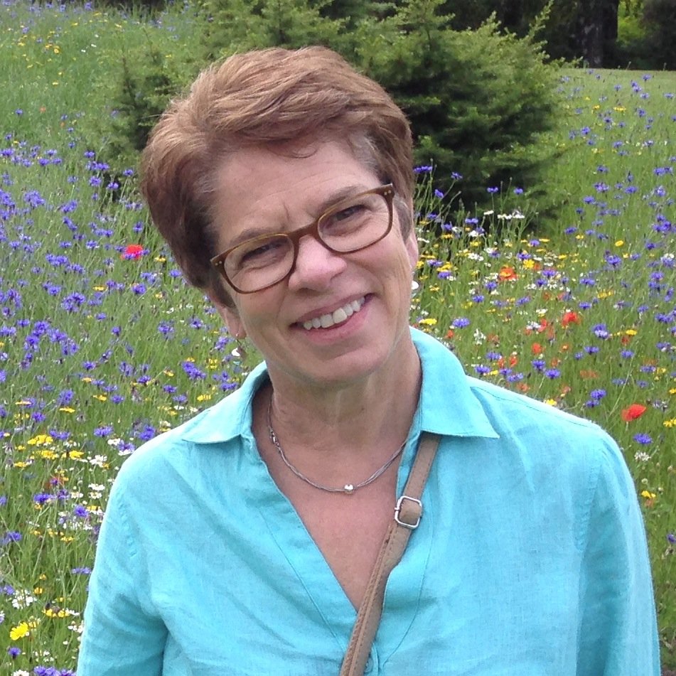 Visual artist, Faculty at School of the Museum of Fine Arts, represented by Miller/Yezerski Gallery Boston, George Billis Gallery, NewYork, LA, Gleason Gal.
