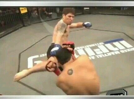 Mma Fighter... Derecho Una.. Team Force