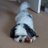 WayneJeanne's profile image