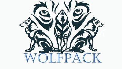 WolvesElite_MB's profile picture. Wolves are a Co-ed Open L6 demonstration team, based out of Winnipeg. Wolfpack is our Open L1 cubs! ⚡