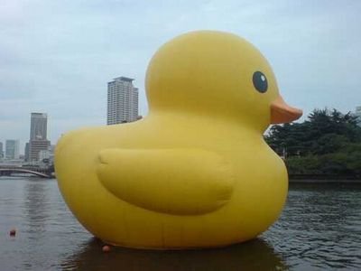モンズリーズ っていうPOPでパンクで人外無敵なバンドのギター兼岡田。母魂と旋回少女（ハハァソウルとリボルハー）でピアノとギターを弾いてる岡田。バイクも好きです。弾き語りもします。
