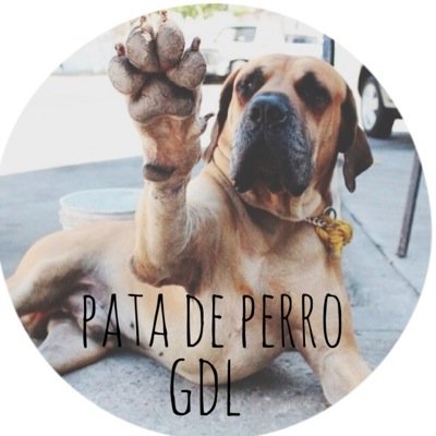 adopta•esteriliza•amálos toda la vida
