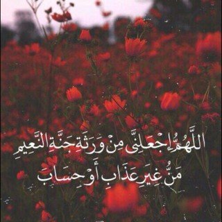 ﴿ اللهُم أجعَل هَمِي الأخِرَة ﴾.