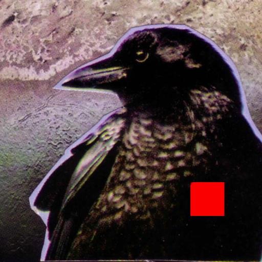angorki's profile picture. Frozen Boreal Forest