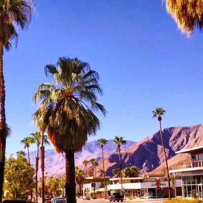 Great #vacations and #cruises for locals and #PalmSprings experts for visitors 760-350-4100