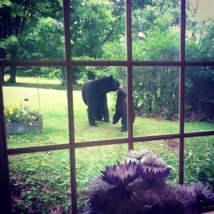 c_jcmgr1's profile picture. 