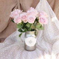Brocade Moon (@brocademoon) Twitter profile photo