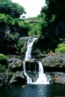 You and your significant other are given an all-expenses paid trip to tropical Maui, Hawaii. @/DM for a role.