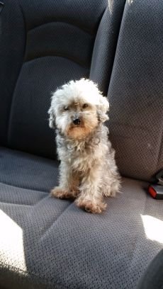 TheSolutionist3's profile picture. 