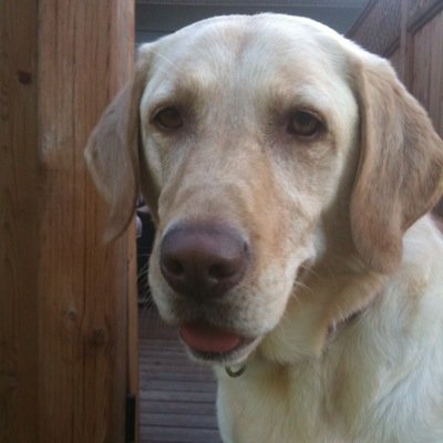 nsscouter1's profile picture. Scout leader. Insurance. CIP. All tweets are my own.