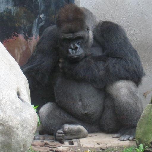 whnovak's profile picture. 