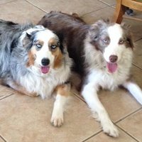 muddle (@muddle) 's Twitter Profile