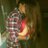Profile Picture of тє αмσ мι αмσя♡/נσαи (@@barbygarrido1) on Twitter