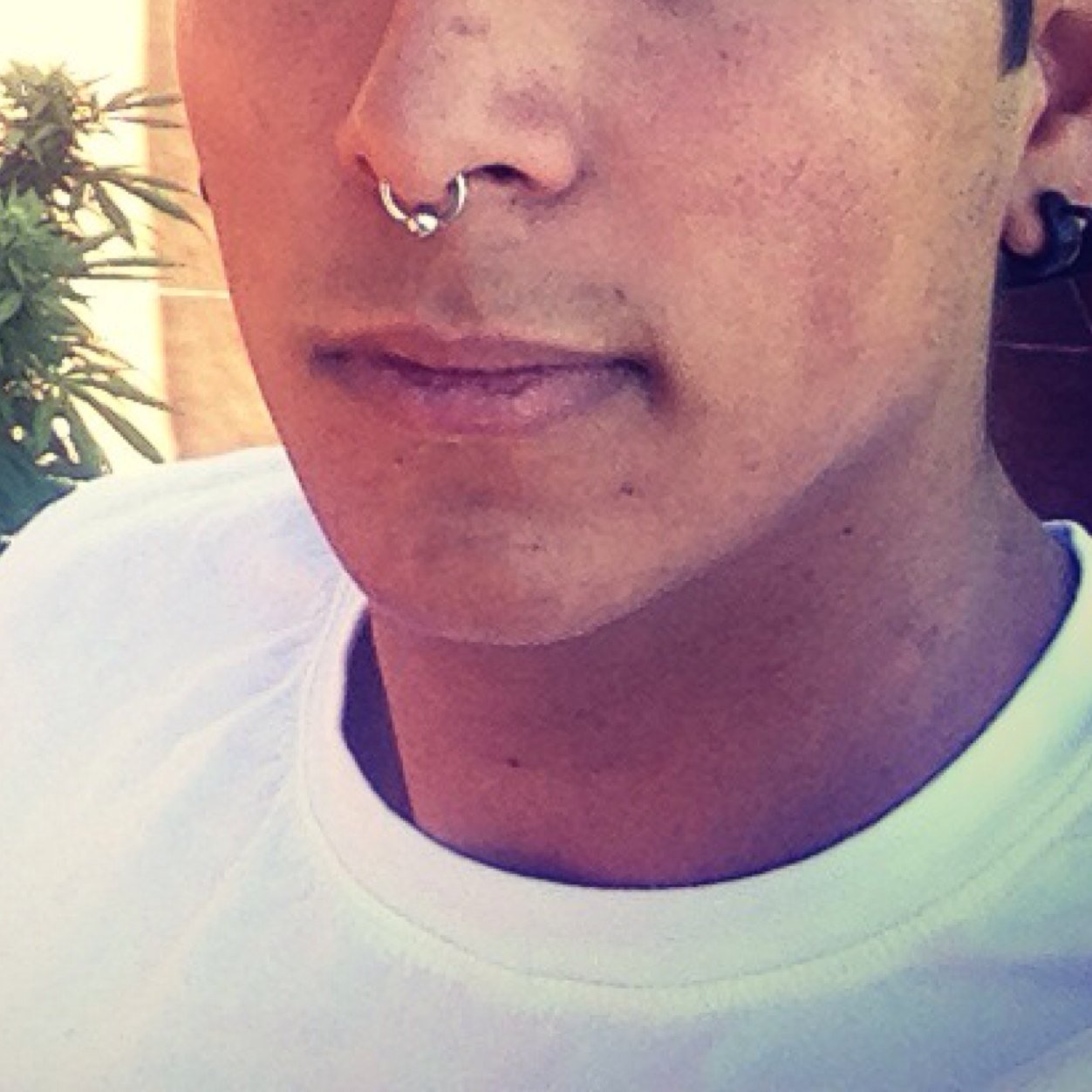 danticoh's profile picture. Si quieres llegar a ser un leon , tienes que entrenar con leones .