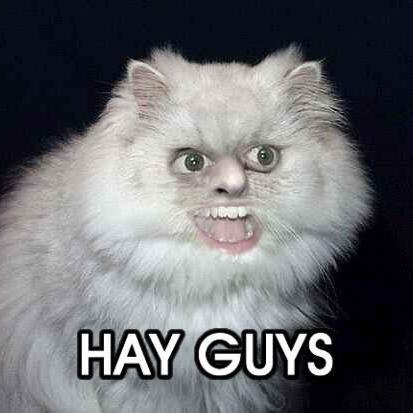 Olu_fokin's profile picture. 