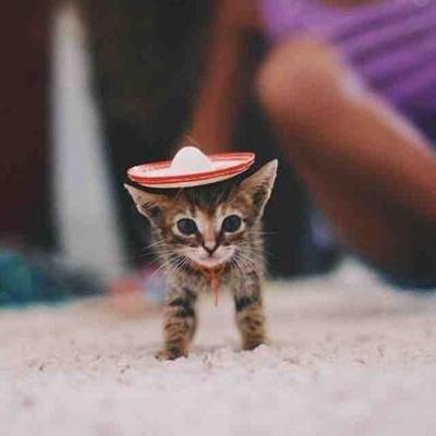 wenris's profile picture. 