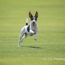 William Struthers - @WilliamStruthe3 - Twitter