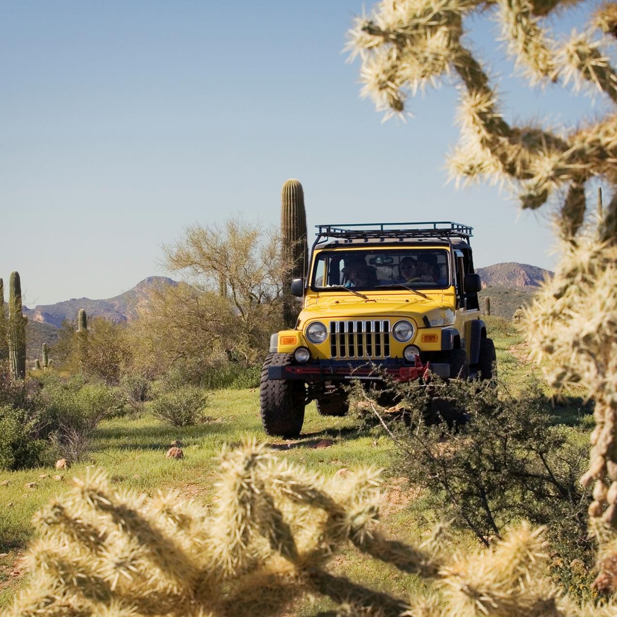 Guided off-road and smooth scenic tours in area of the legendary Superstition Mountains and famous Apache Trail .  5 Stars-Travel & History Channels.