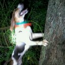 Logan Gresham - @GreshamLogan - Twitter