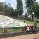 Viola Campos - @campos_viola - Twitter