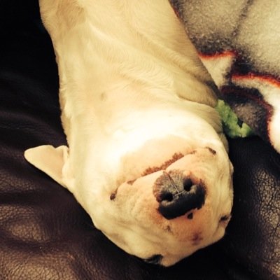 TRAY70's profile picture. I'm a mom of four and have 2 dogs a cat & a hubby! I am an avid reader of paranormal romance. Urban fantasy, and sometimes romance. I share author comps. xx