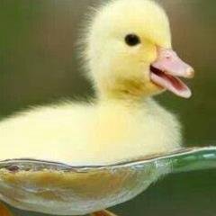 follow for follow/ unfollow for unfollow
