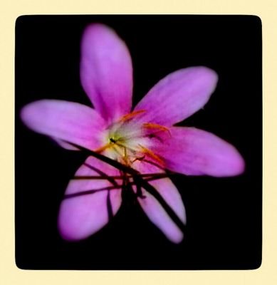 photography plus travel, PURpics on https://t.co/4ha4DWsD1i , George.Paul.5895 on instagram