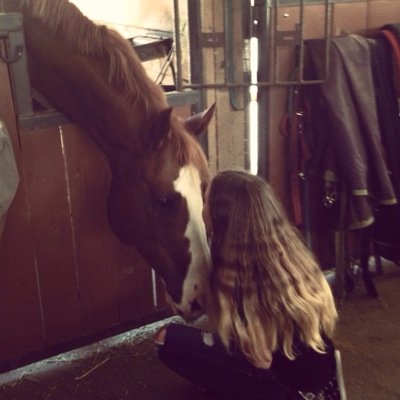 • It's not a hobby, it's a life style • 
     ~I show APHA & PTHA~ 
              Wyatt is my man 
     *Don't judge me and I won't judge you*