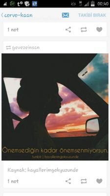 Sistem içinde özgürlük savaşcısı