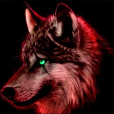 I'm a gamer and I like to play Titanfall,Cod ghosts,black ops 2,MW3,MW2,battlefeild 4,Minecraft,halo 4,halo reach,halo 3,black ops 1.