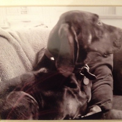 hellbillyxj's profile picture. 