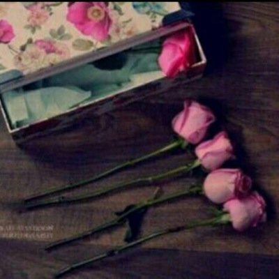 الدنيا كتاب الانسان.. اجمل بدايتها الصداقه.. اروع مواضعيها الصراحه.. احلى سطورها الذكريات.. واغلى اوراقها الوفاء✏️