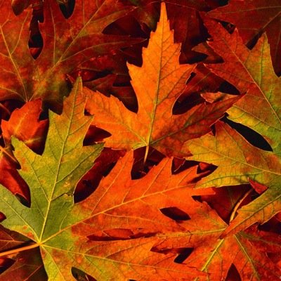 falllingforyou_'s profile picture. ~ :)