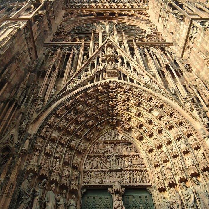 ranzidfront's profile picture. 