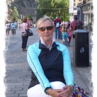 Sandy Di Vito (@divitosandy) 's Twitter Profile