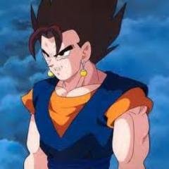 Vegeta + Kakarot. Let's see now, I guess you can call me 'Vegito'. [Parody/RP]