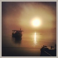Drielse Veer (@drielseveer) 's Twitter Profile