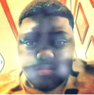 raydellc's profile picture. 