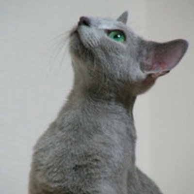 このアカウントは永久に使われません