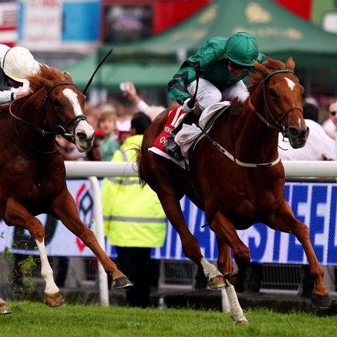 wagnshunter's profile picture. 