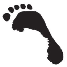 Matthew Evans Podiatry & Sport services specializes in general foot care diabetes , childrens feet problems and sports podiatry.

Call today on 02 4991 6567