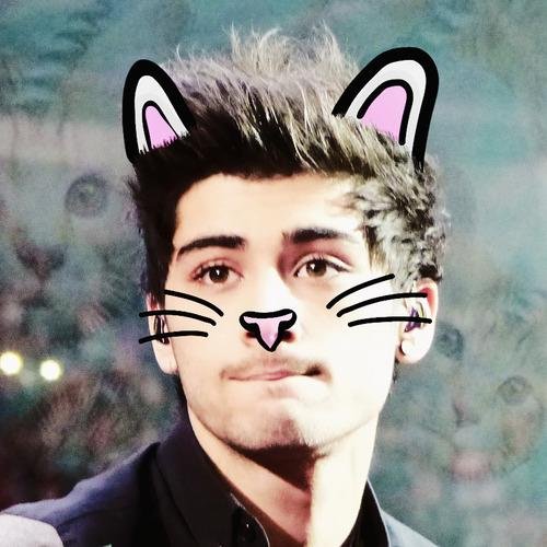 follow this account for GAIN TWEETS @_zaynsvodka •