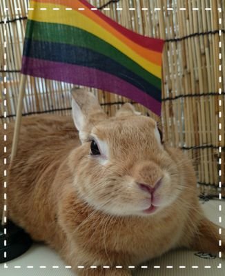 rosy15a's profile picture. 京都在住 (L)GBT  。aiko好き。彼女と暮らしてます。