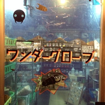 昆虫専門店ワンダーグローブのアカウントです。良かったらフォローしてください。生体の入荷状況などをツイートしていこうと思います。電話0789040981