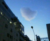 misa_tink's profile picture. 練馬に住んでいる会社員です☆ お笑い好き☆キングコング好き☆Ｙｕｋi好き☆瑛太くん好き☆カナダ好き☆あ、あと浅田真央ちゃんも好き☆2018年、らんま1/2に出会って再はまり中💕☆鎌倉が好きで、時々お散歩、ビーチコーミングに行きます🌸