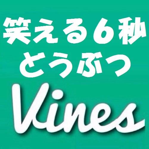 笑える動物動画 ６秒で笑ってね♪