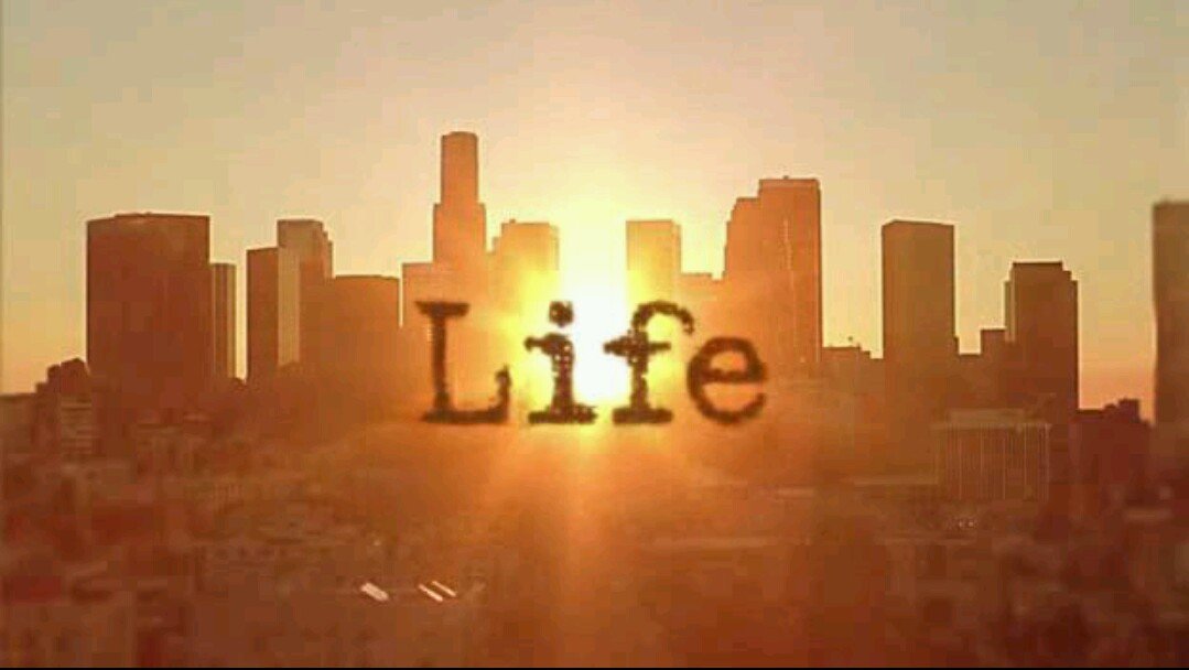 true_life2014's profile picture. 