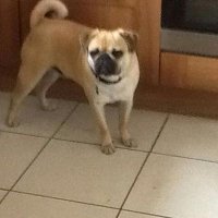 Brendan Mc Auley (@bmatazz1) 's Twitter Profile