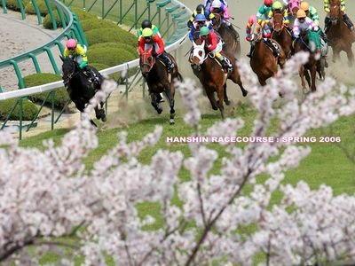 馬の気持ち(*^^*)のアイコン